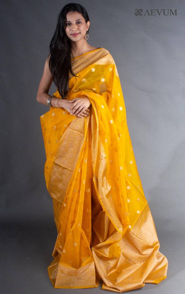 Organza Banarasi Handloom Saree - 8089 - AEVUM