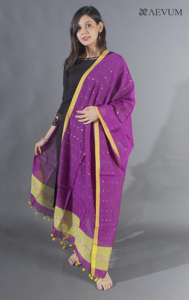 Handloom Muslin Dupatta with a Khadi Stripe & Sequin - 8496 - AEVUM