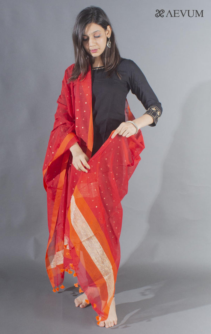Handloom Muslin Dupatta with a Khadi Stripe & Sequin - 8498 - AEVUM
