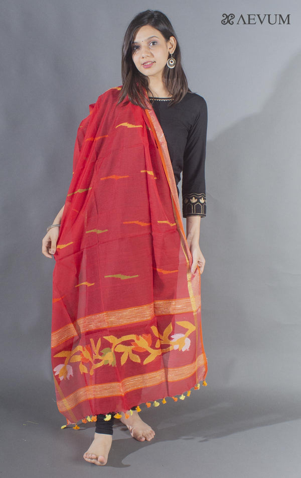 Handloom Cotton Jamdani Dupatta - 8500 - AEVUM