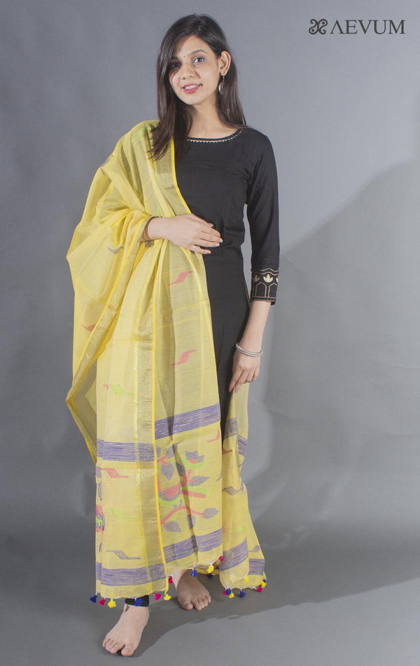 Handloom Cotton Jamdani Dupatta - 8503 - AEVUM