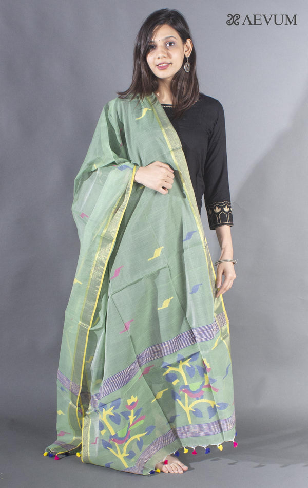 Handloom Cotton Jamdani Dupatta - 8508 - AEVUM