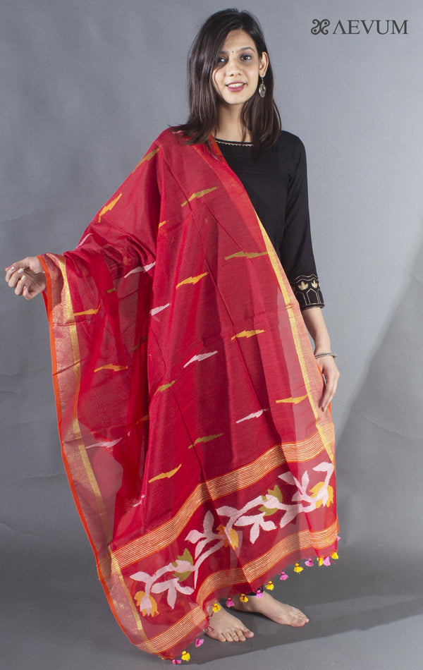 Handloom Cotton Jamdani Dupatta - 8509 - AEVUM