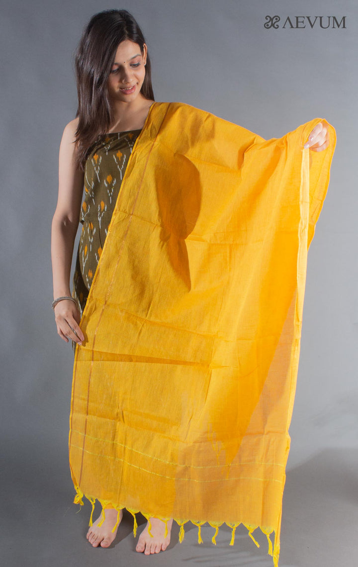 Unstitched Handloom Cotton Ikkat Dress Material with Dupatta - 8755 - AEVUM