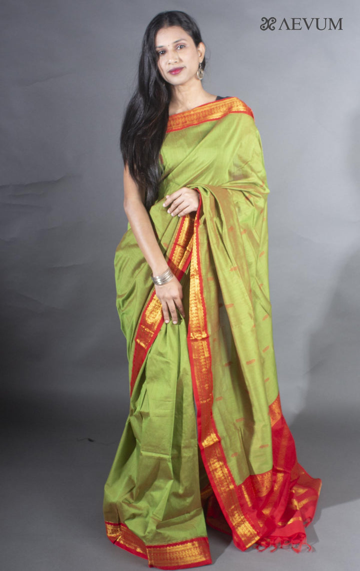 Kalyani South Cotton Silk Handloom Saree with Blouse Piece - 9100 - AEVUM