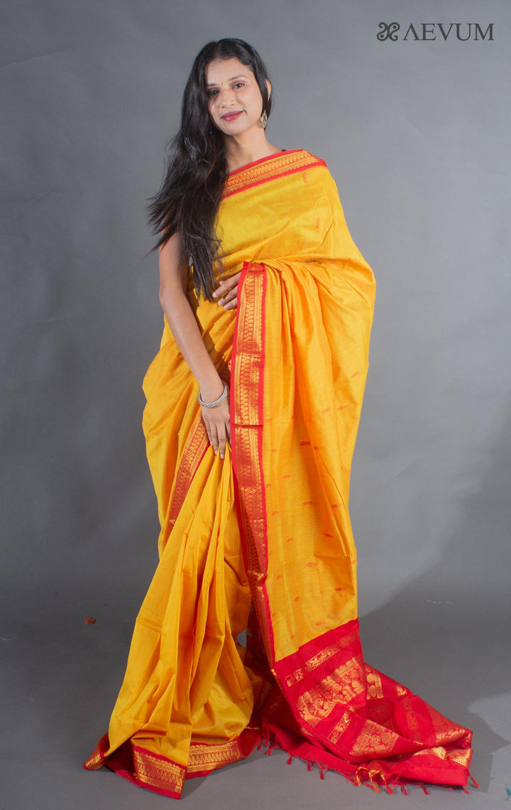 Kalyani South Cotton Silk Handloom Saree with Blouse Piece - 9102 - AEVUM