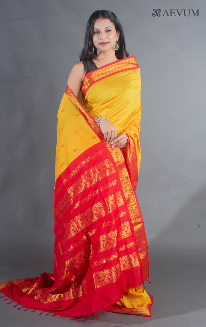 Kalyani South Cotton Silk Handloom Saree with Blouse Piece - 9102 - AEVUM