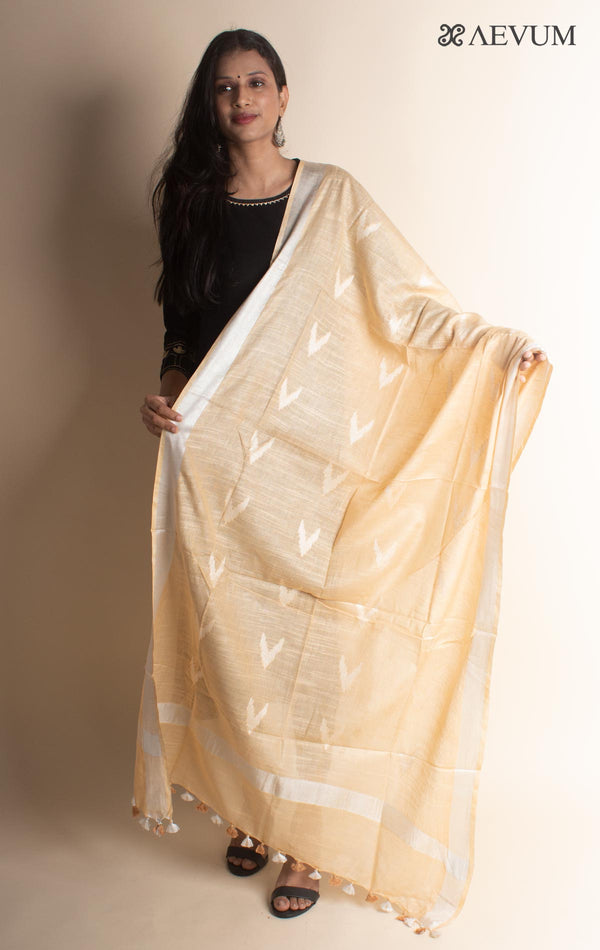 Semi Linen Ikkat Dupatta - 2873 Dupatta Swati Goswami   