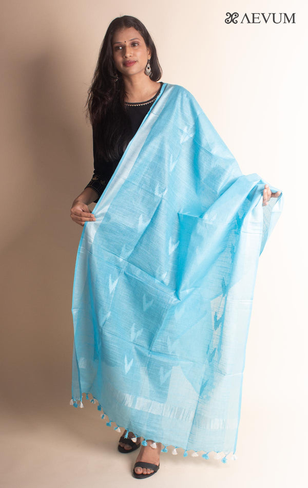 Semi Linen Ikkat Dupatta - 2874 - AEVUM