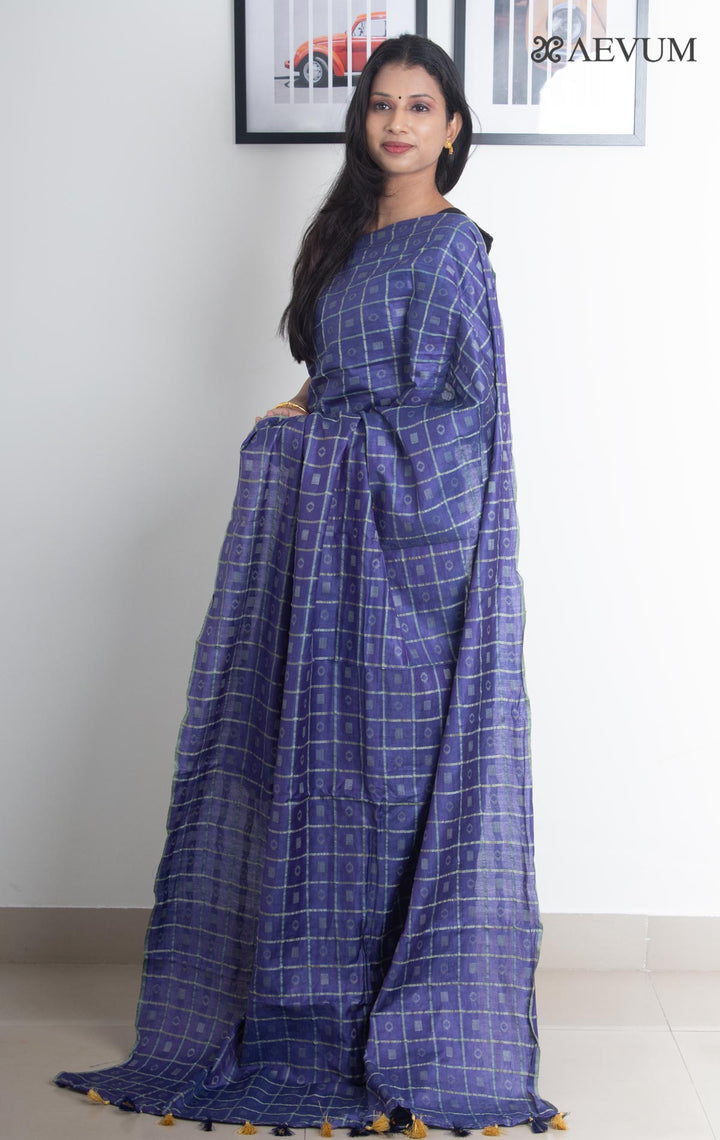 Katan Silk Saree with Checks - 2263 Saree AEVUM   