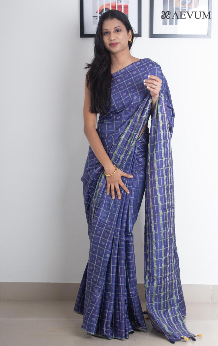 Katan Silk Saree with Checks - 2263 Saree AEVUM   