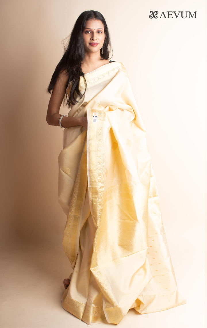 Kanjivaram Banarasi Pure Silk Saree with Silk Mark - 3080 - AEVUM