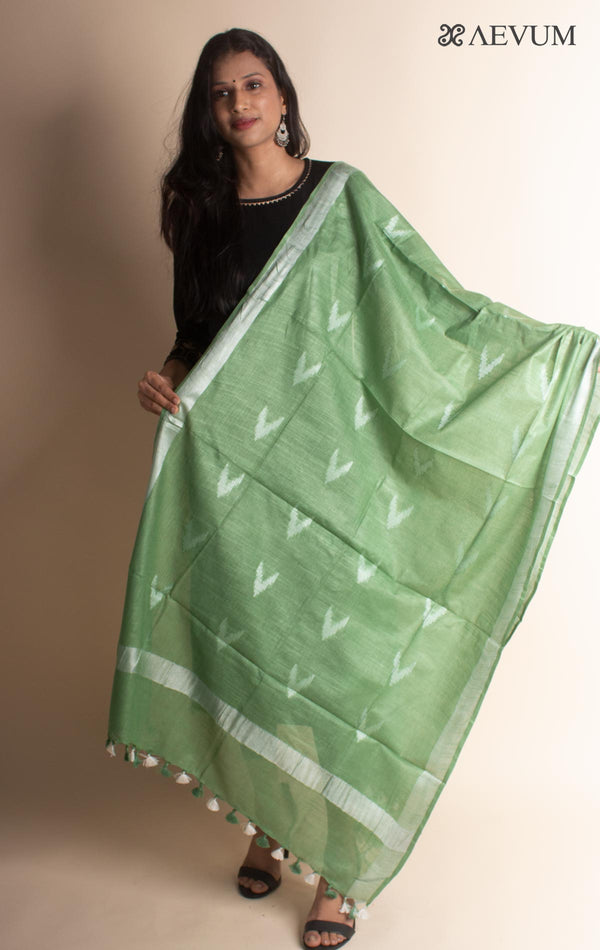 Semi Linen Ikkat Dupatta - 2871 Dupatta Swati Goswami   