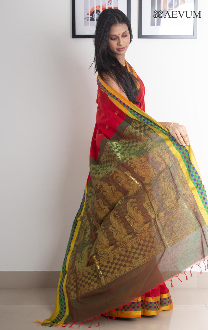Kalyani South Cotton Silk Handloom Saree with Blouse Piece - 2217 - AEVUM