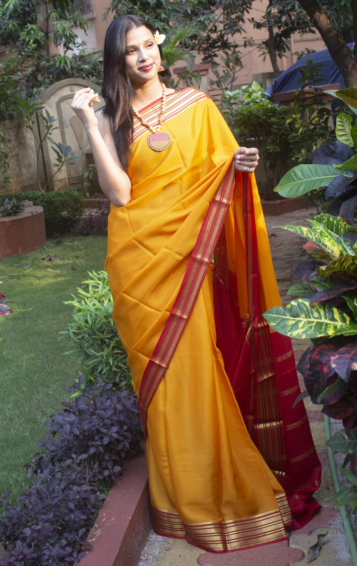 Mysore Silk Saree with Silk Mark - 9701 - AEVUM