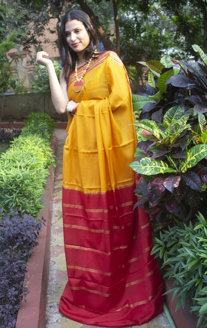 Mysore Silk Saree with Silk Mark - 9701 - AEVUM
